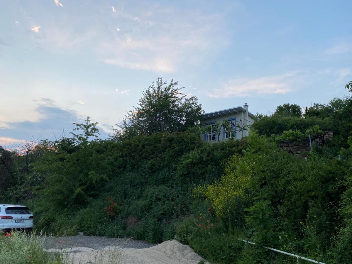 Weinbergshaus Mit Blick Auf'S Wasser Salzatal Exterior photo